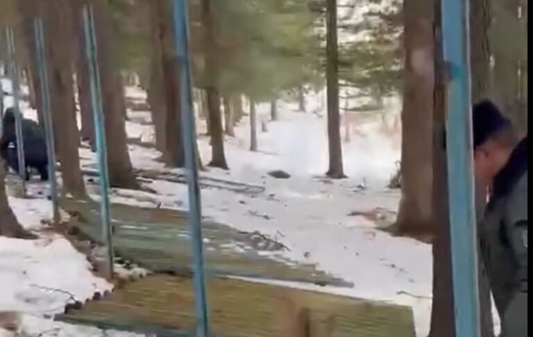 Зэрлэг амьтдын чөлөөтэй нүүдэл хөдөлгөөнийг хязгаарлаж байсан 273 орчим метр урт хашааг буулгажээ